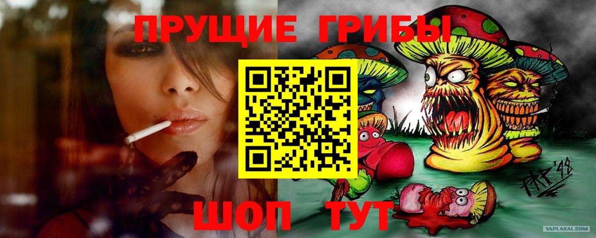 Галлюциногенные грибы GOLDEN TEACHER Нижнекамск